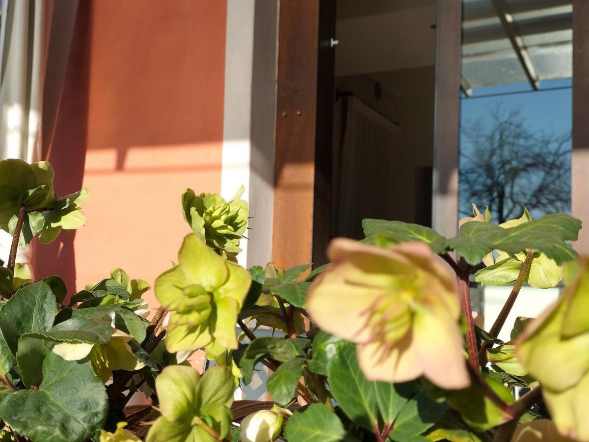 B&B Terre Di Bea Pederobba Exteriör bild
