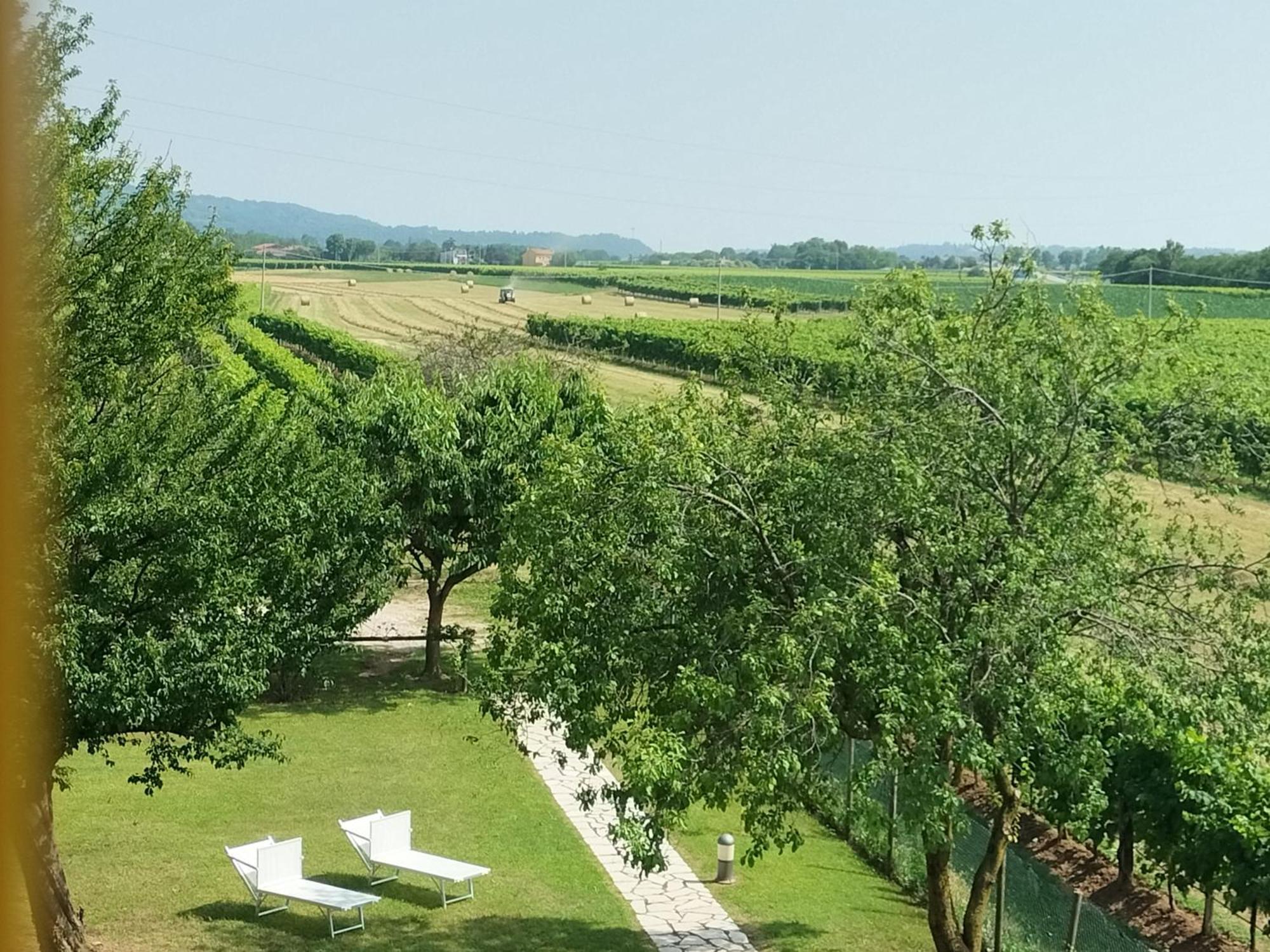 B&B Terre Di Bea Pederobba Exteriör bild