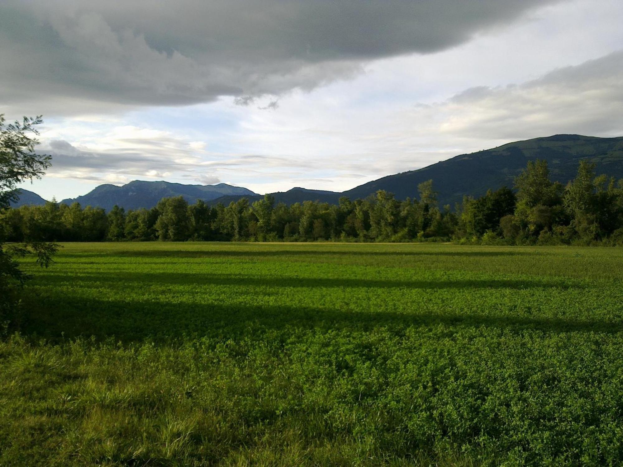 B&B Terre Di Bea Pederobba Exteriör bild