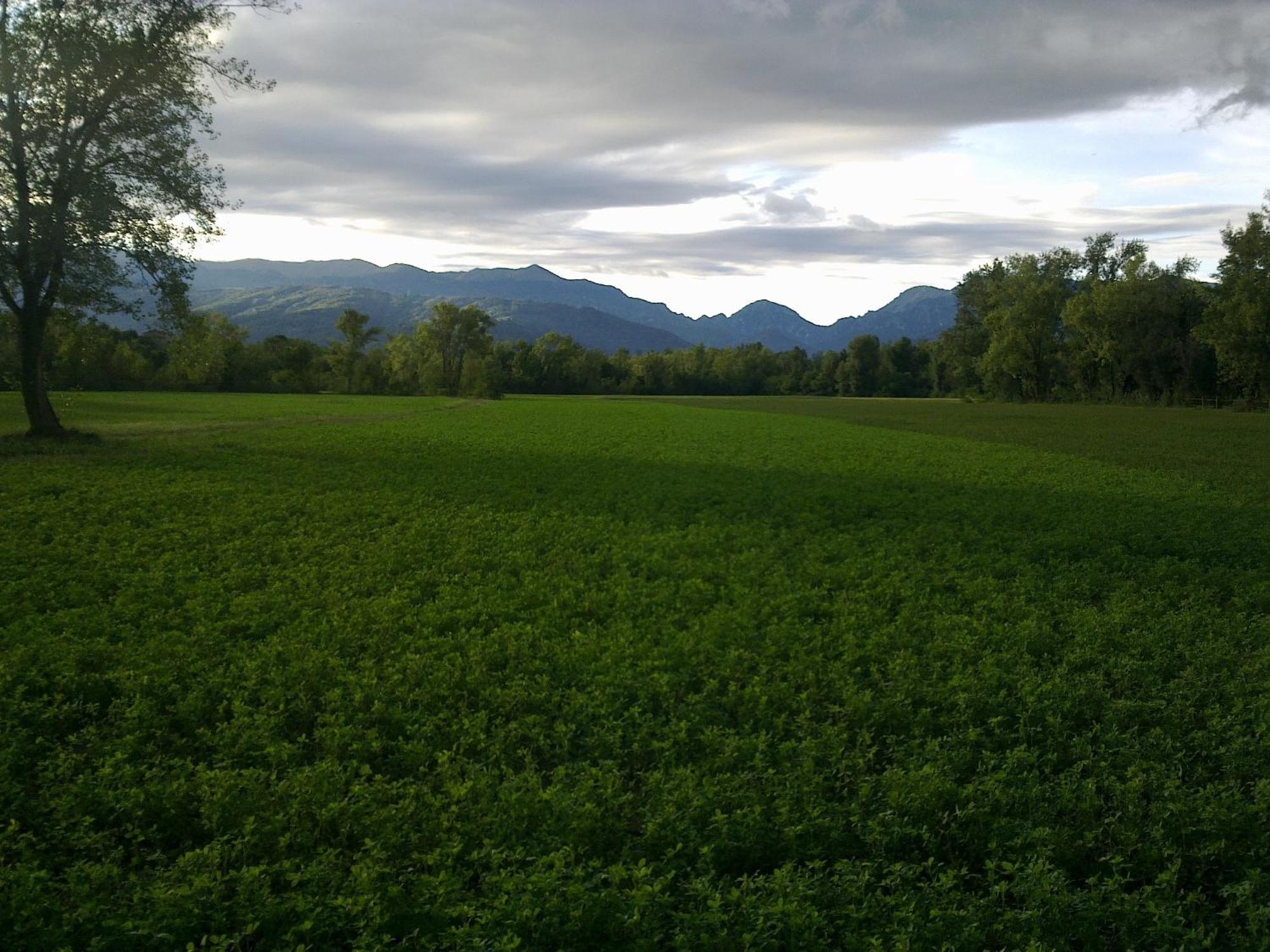 B&B Terre Di Bea Pederobba Exteriör bild