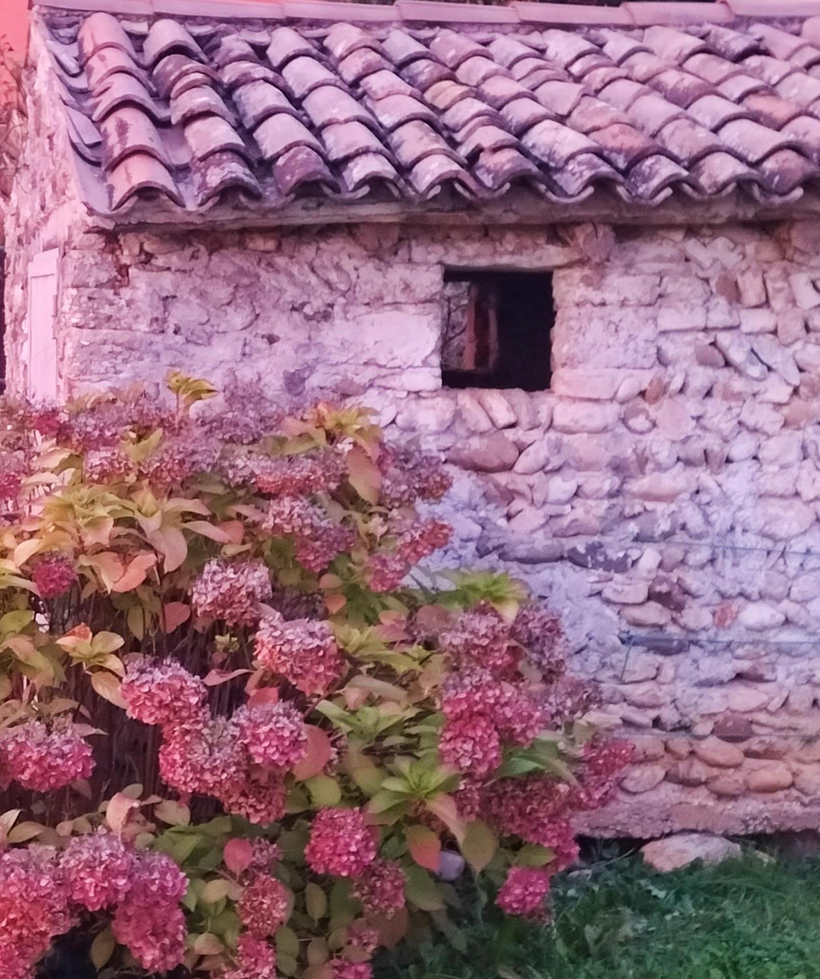 B&B Terre Di Bea Pederobba Exteriör bild